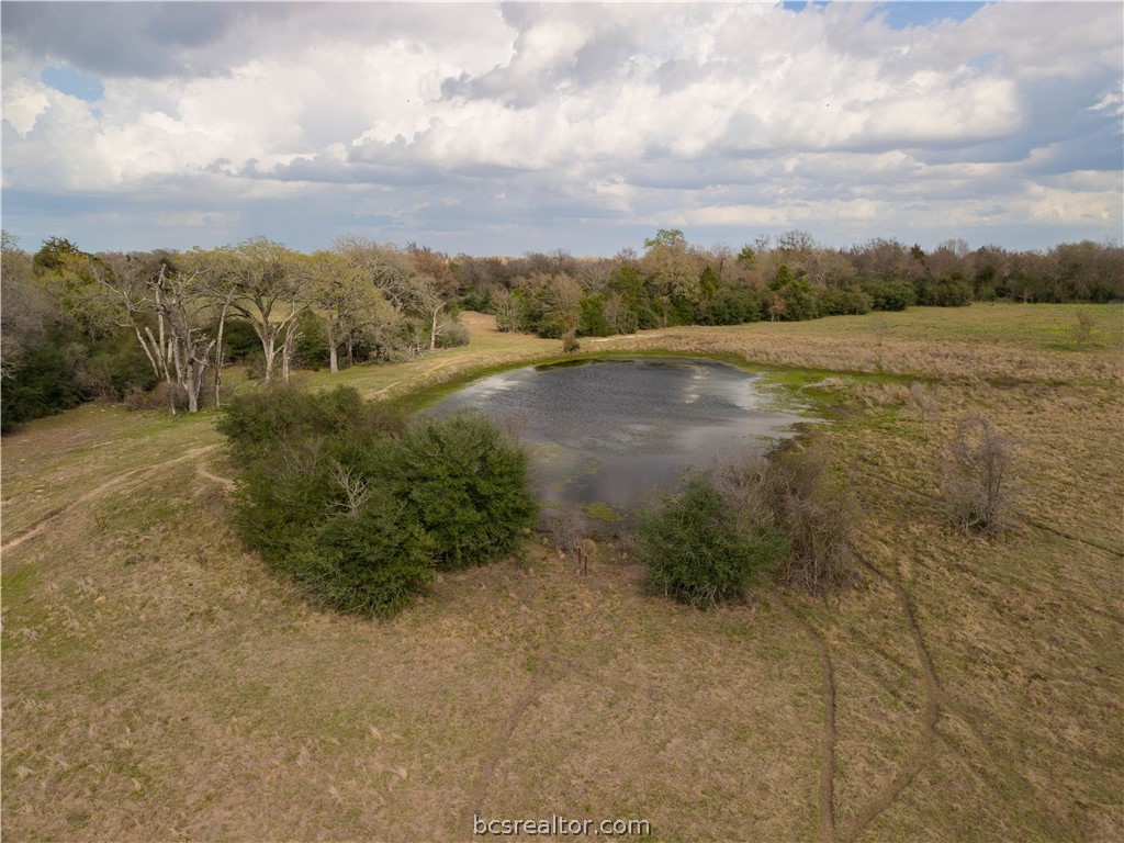 10102 Ferrill Creek Road Bryan, TX 77808 - Photo 31 of 33