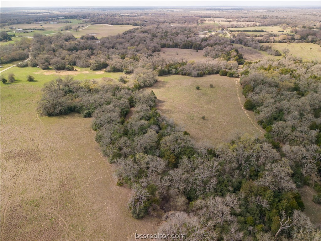 10102 Ferrill Creek Road Bryan, TX 77808 - Photo 32 of 33