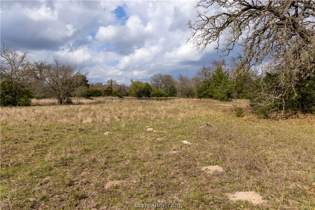 10102 Ferrill Creek Road Bryan, TX 77808 - Photo 5 of 33