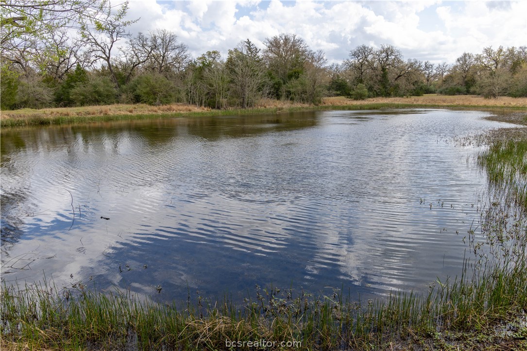 10102 Ferrill Creek Road Bryan, TX 77808 - Photo 7 of 33