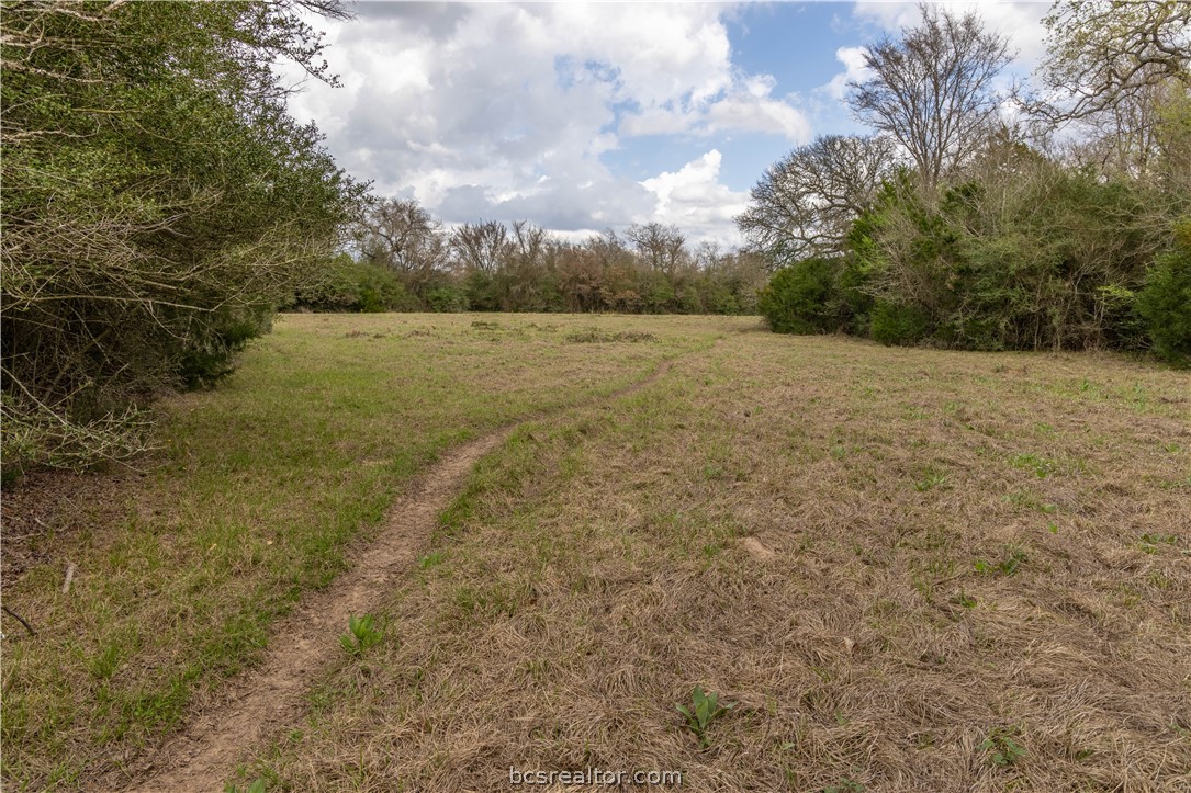 10102 Ferrill Creek Road Bryan, TX 77808 - Photo 8 of 33
