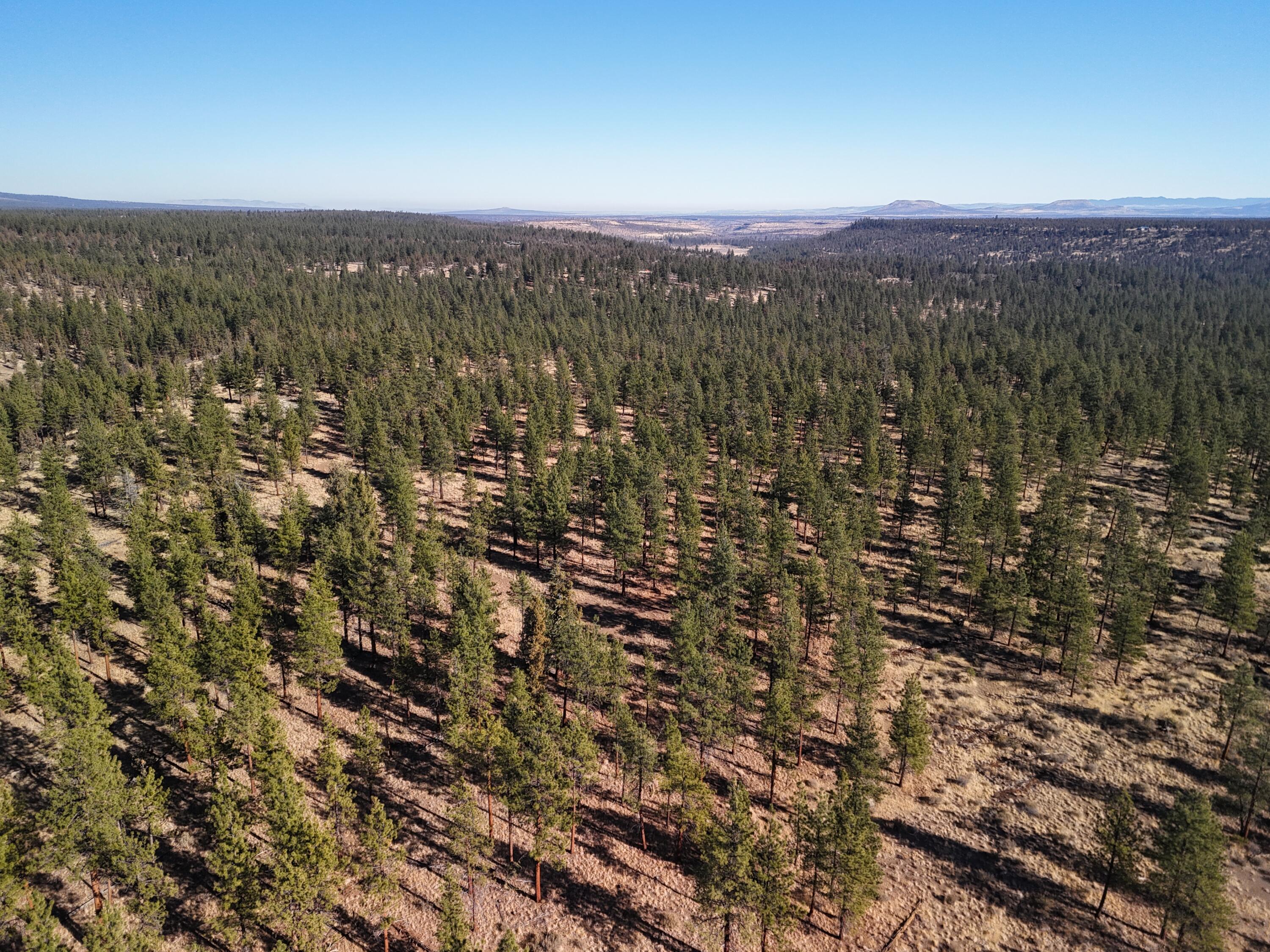 17390 Big Buck Road Sisters, OR 97759 - Photo 33 of 35 DJI_20241107112434_0016_D