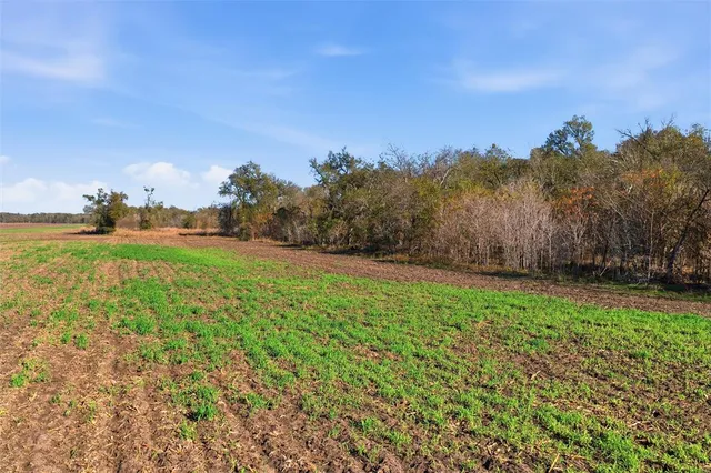 $1,295,068 | 264 County Road 264, Cameron, TX 76520