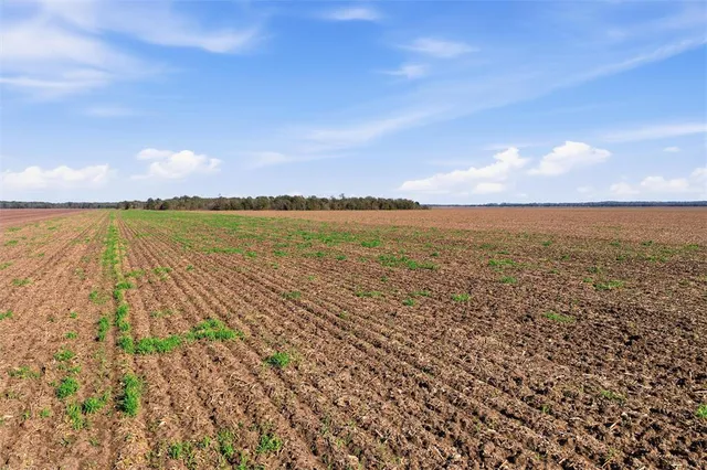 $1,295,068 | 264 County Road 264, Cameron, TX 76520