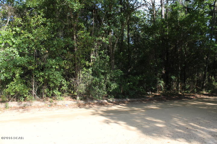 Xxx Wester Road Grand Ridge, FL 32442 - Photo 6 of 7 Gallery Image 6