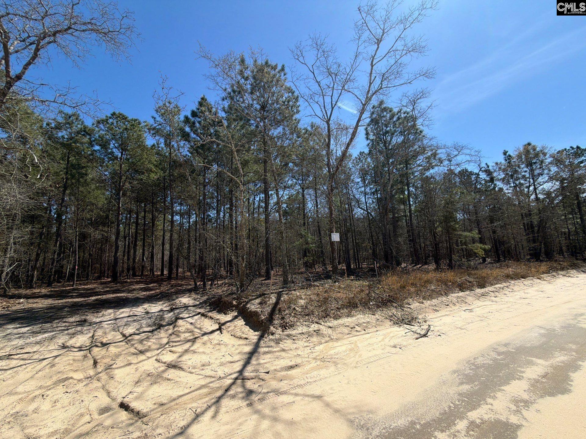 13 Boise Cascade Road, Unit BHL 13 Bethune, SC 29009 - Photo 31 of 31