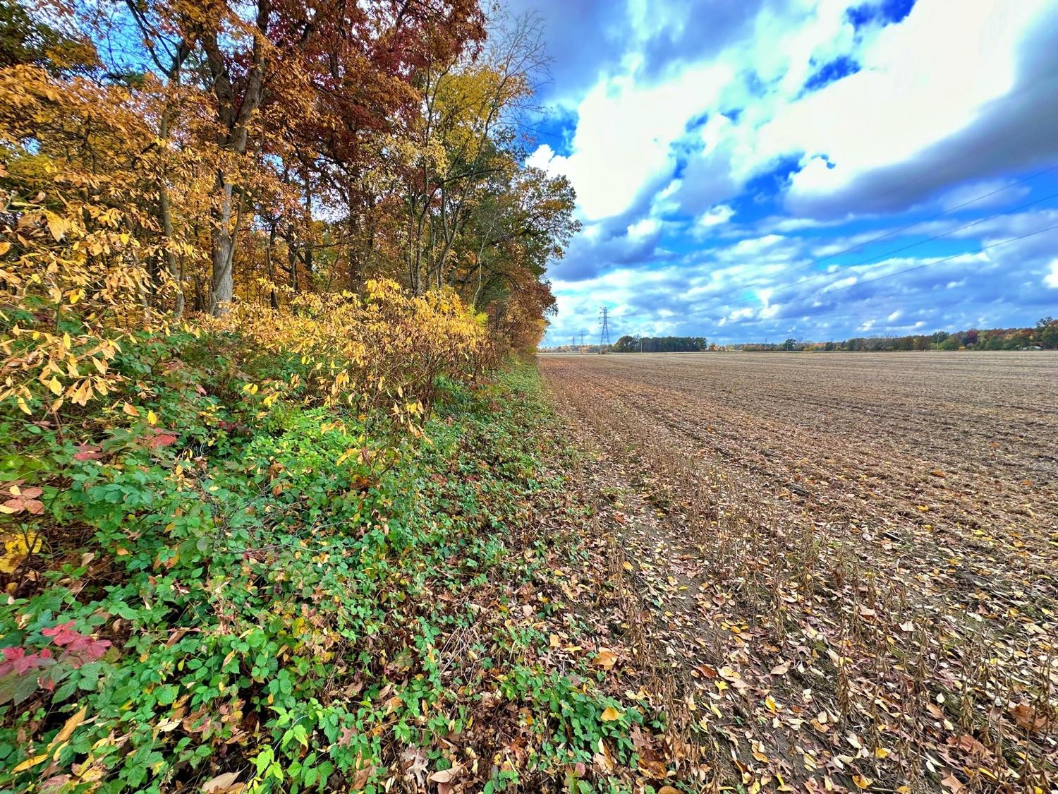 1402 Hanawalt Road Monticello, IN 47960 - Photo 17 of 32 1500x1125