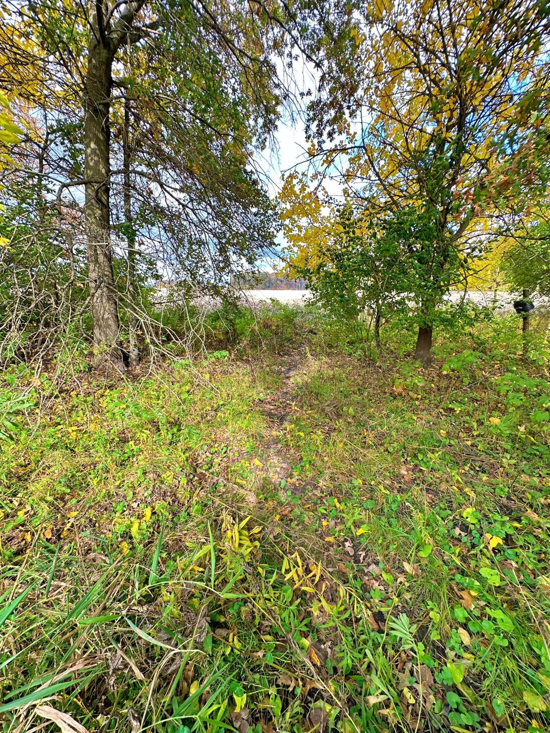 1402 Hanawalt Road Monticello, IN 47960 - Photo 8 of 32 1125x1500