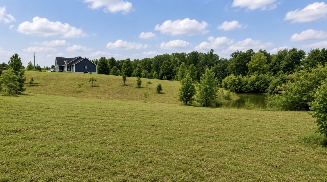 4501 West Tennessee City Road McEwen, TN 37101 - Photo 6 of 72