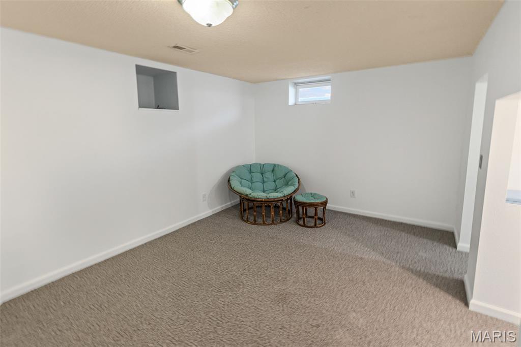 332 Ratz Drive Granite City, IL 62040 - Photo 51 of 59 Gallery Image 51