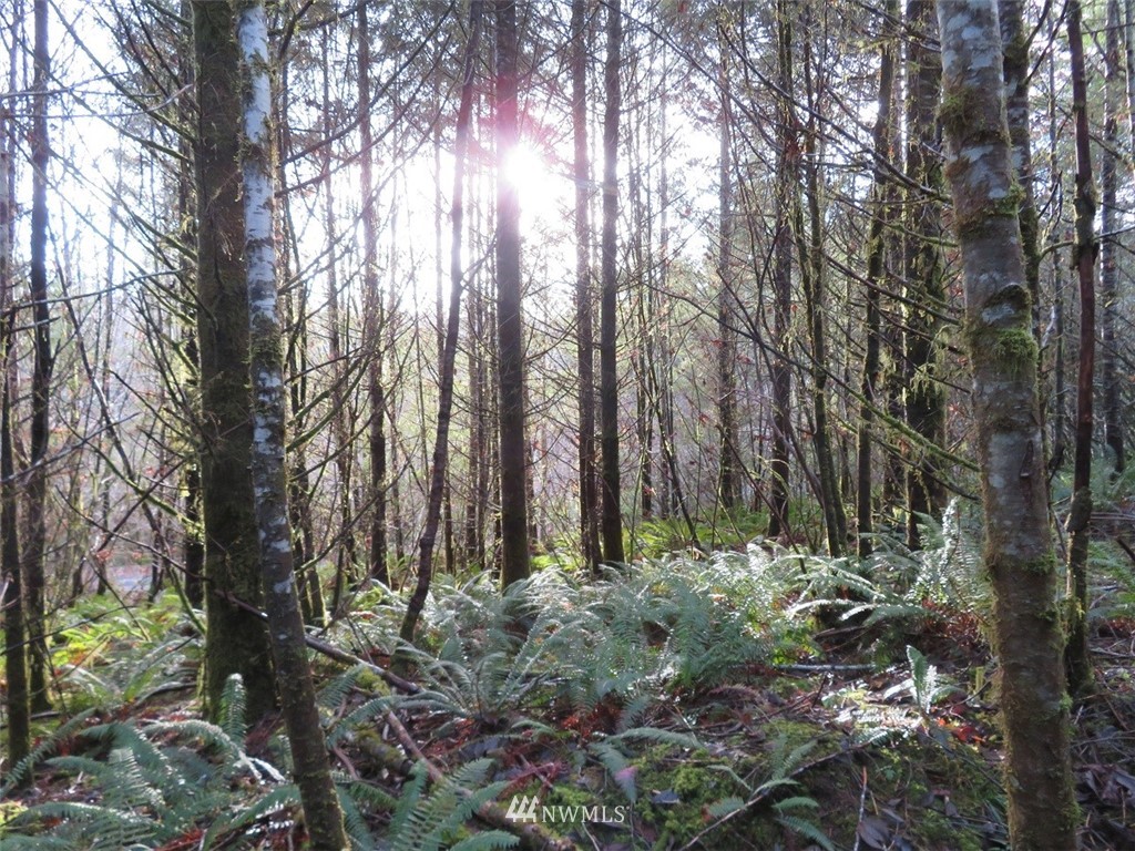 -xxx Xxx Labarre Road Chehalis, WA 98532 - Photo 2 of 23