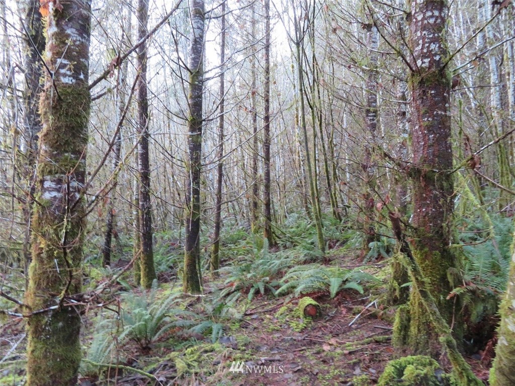 -xxx Xxx Labarre Road Chehalis, WA 98532 - Photo 11 of 23