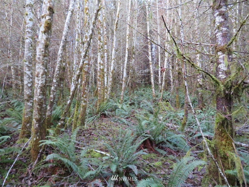 -xxx Xxx Labarre Road Chehalis, WA 98532 - Photo 12 of 23