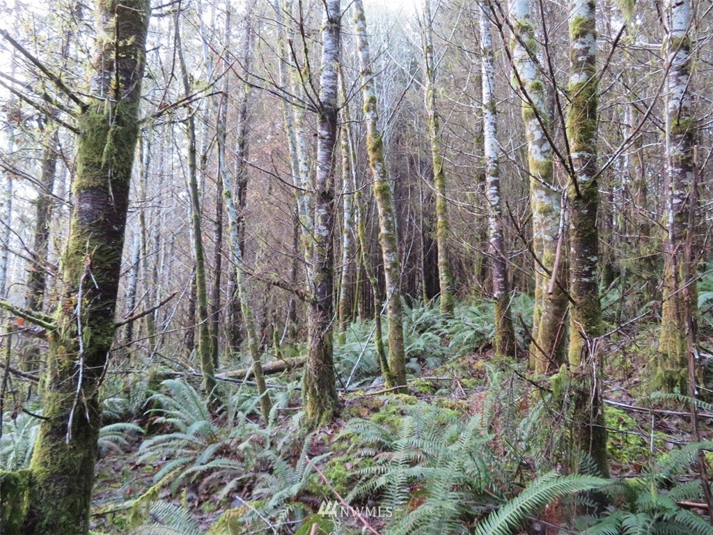 -xxx Xxx Labarre Road Chehalis, WA 98532 - Photo 13 of 23