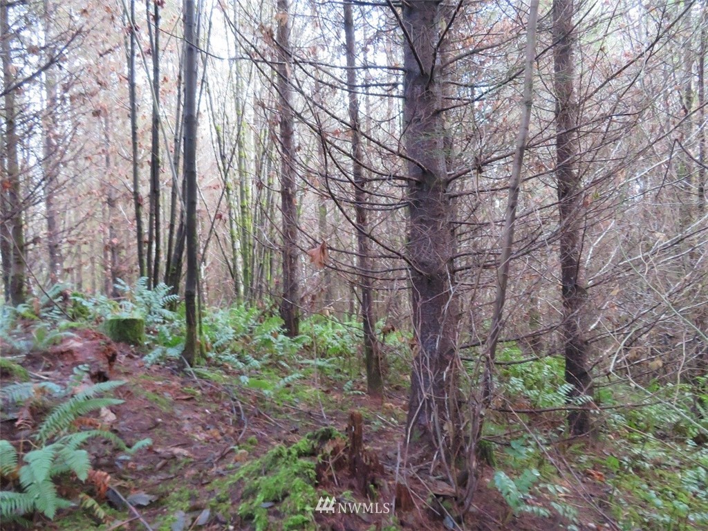 -xxx Xxx Labarre Road Chehalis, WA 98532 - Photo 14 of 23