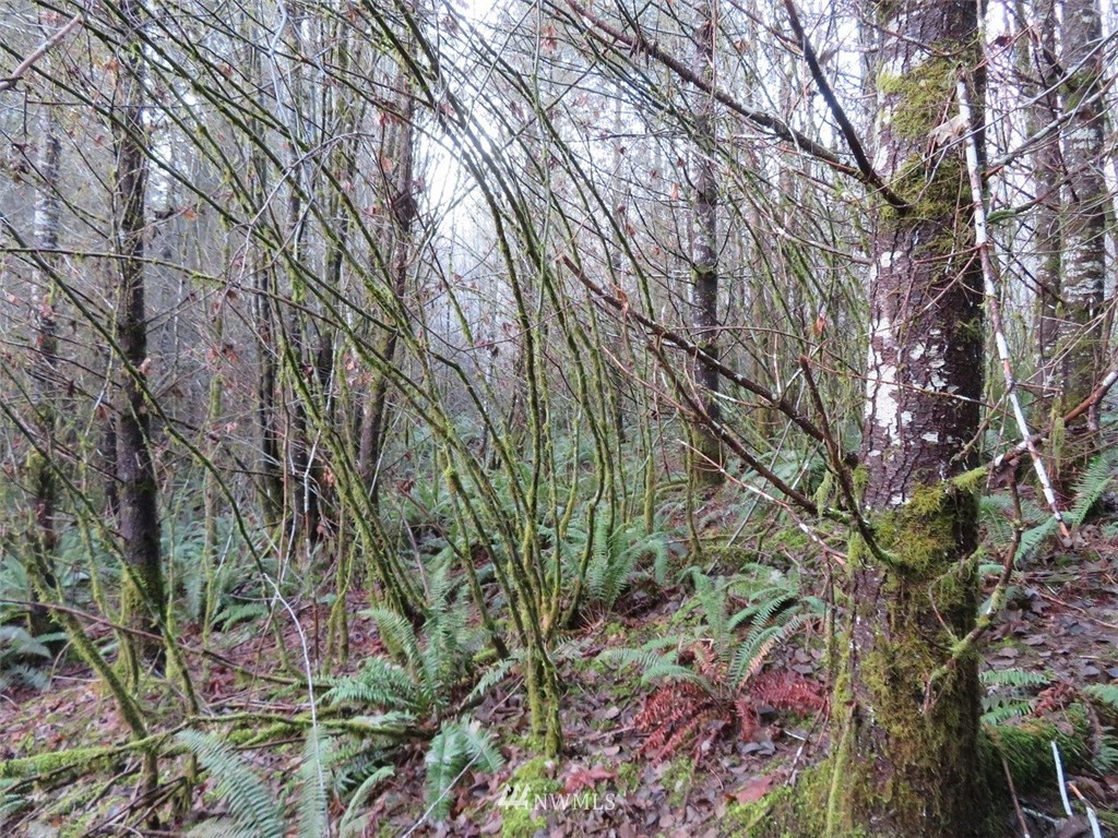 -xxx Xxx Labarre Road Chehalis, WA 98532 - Photo 15 of 23