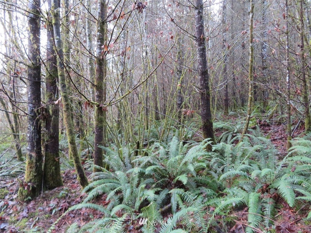 -xxx Xxx Labarre Road Chehalis, WA 98532 - Photo 16 of 23