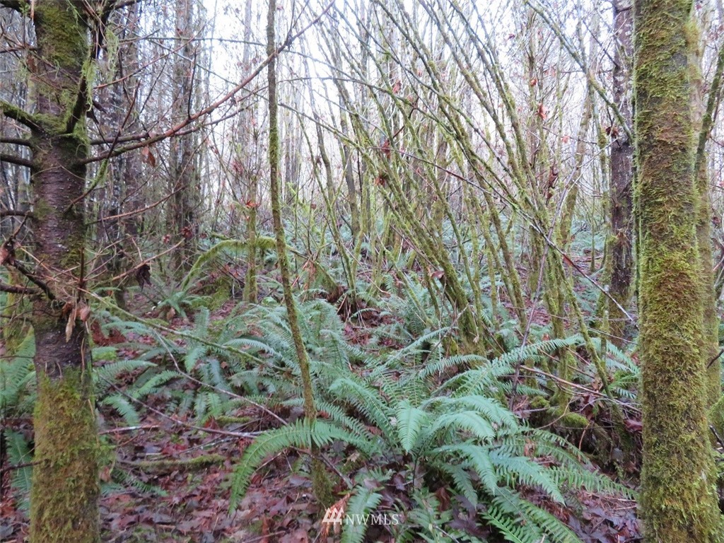 -xxx Xxx Labarre Road Chehalis, WA 98532 - Photo 17 of 23