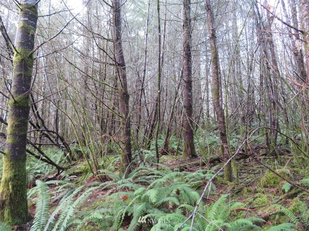 -xxx Xxx Labarre Road Chehalis, WA 98532 - Photo 18 of 23