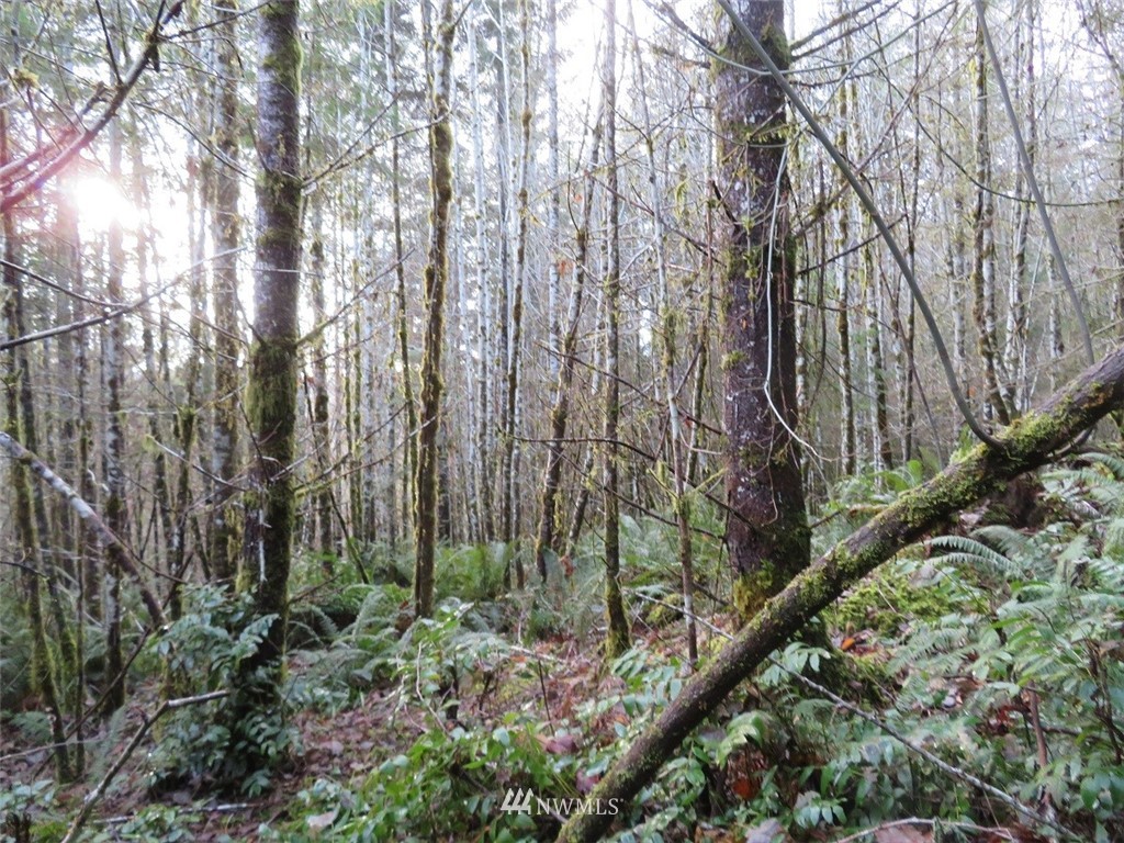-xxx Xxx Labarre Road Chehalis, WA 98532 - Photo 19 of 23