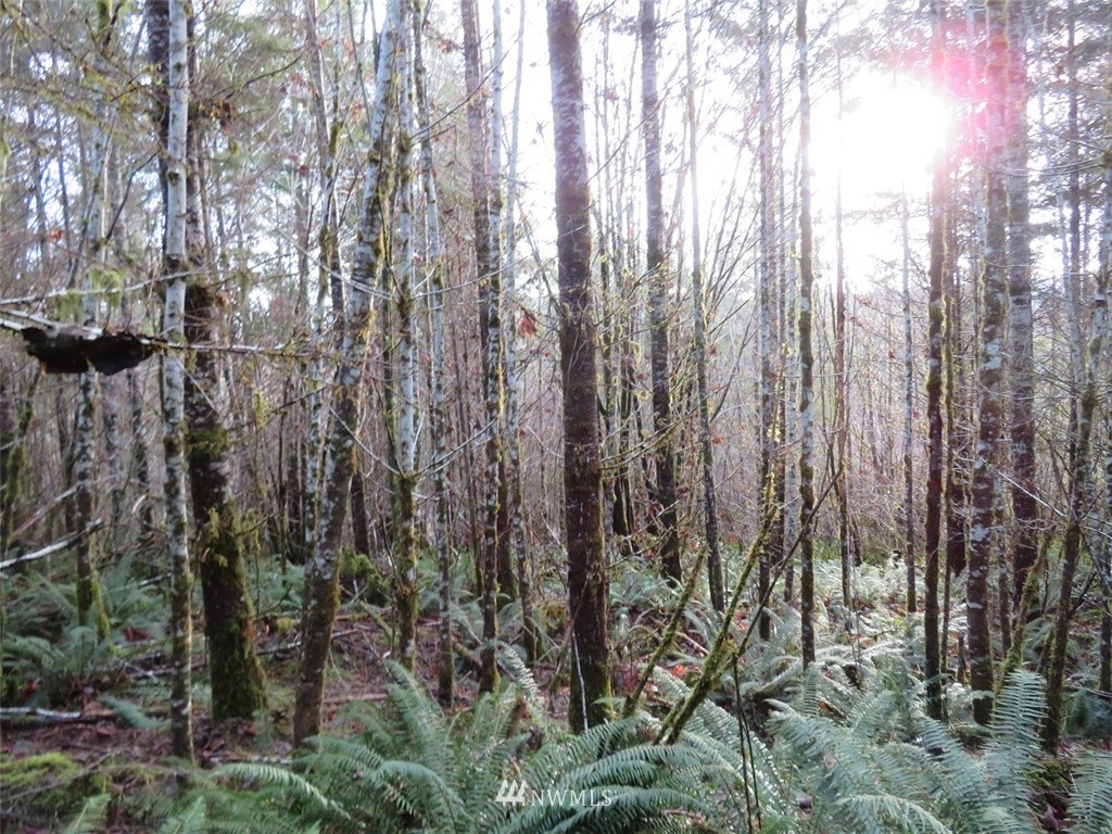 -xxx Xxx Labarre Road Chehalis, WA 98532 - Photo 20 of 23