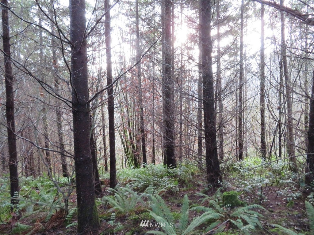 -xxx Xxx Labarre Road Chehalis, WA 98532 - Photo 3 of 23