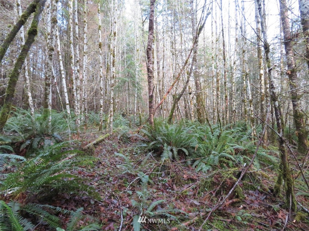 -xxx Xxx Labarre Road Chehalis, WA 98532 - Photo 21 of 23