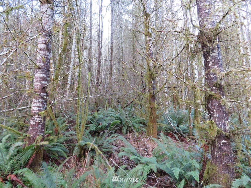-xxx Xxx Labarre Road Chehalis, WA 98532 - Photo 23 of 23
