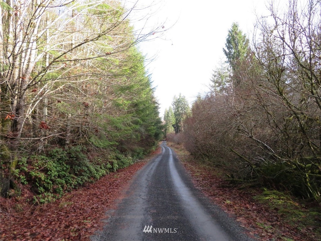 -xxx Xxx Labarre Road Chehalis, WA 98532 - Photo 6 of 23