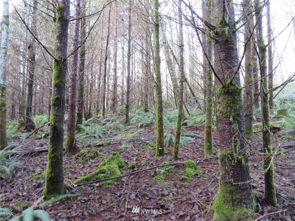 -xxx Xxx Labarre Road Chehalis, WA 98532 - Photo 7 of 23