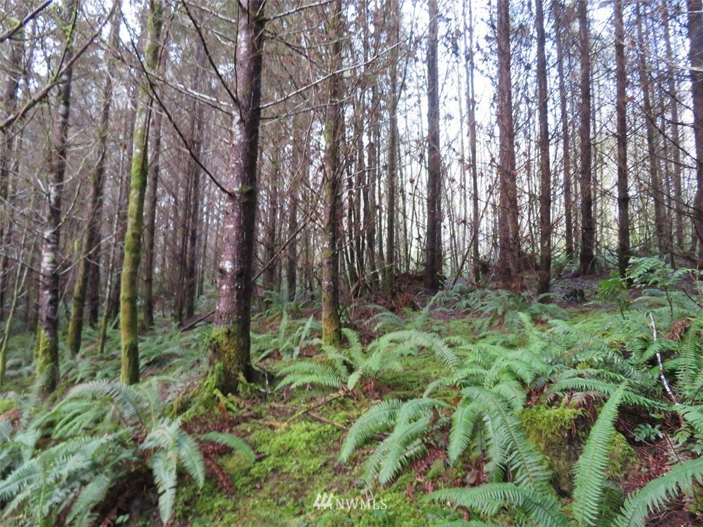 -xxx Xxx Labarre Road Chehalis, WA 98532 - Photo 8 of 23