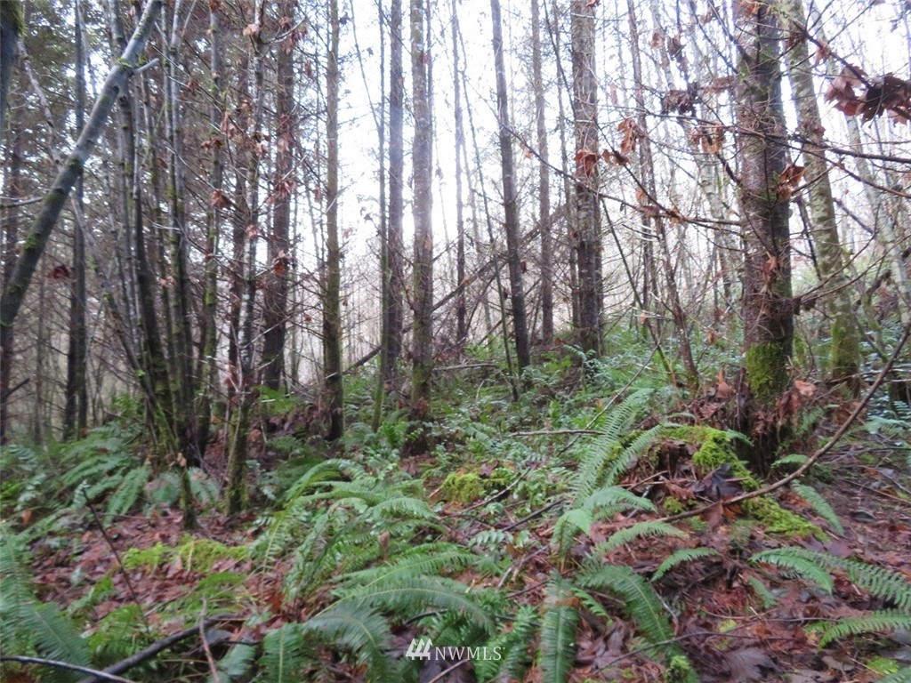 -xxx Xxx Labarre Road Chehalis, WA 98532 - Photo 9 of 23