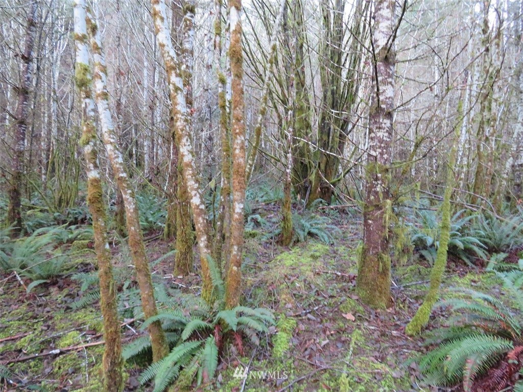 -xxx Xxx Labarre Road Chehalis, WA 98532 - Photo 10 of 23