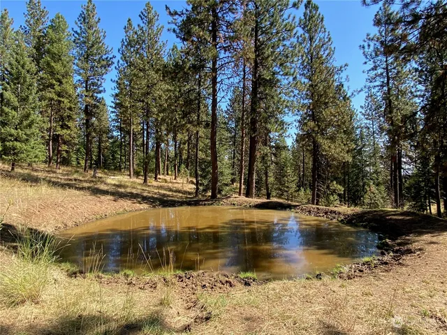 $1,595,000 | -xx Cougar Creek Road, Anatone, WA 99401