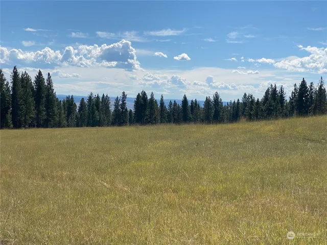 $1,595,000 | -xx Cougar Creek Road, Anatone, WA 99401