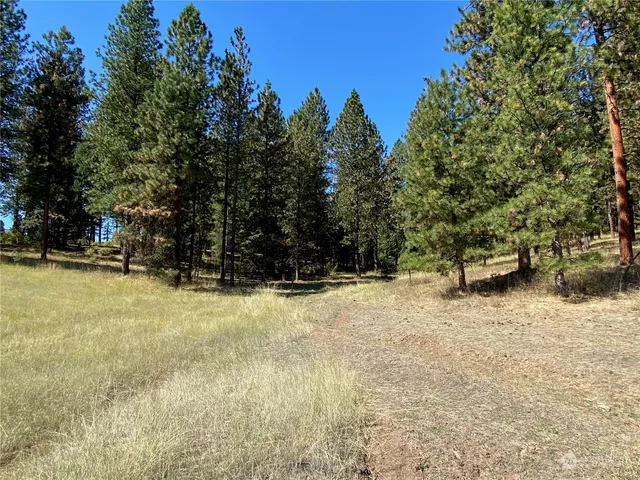 $1,595,000 | -xx Cougar Creek Road, Anatone, WA 99401