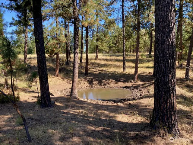 $1,595,000 | -xx Cougar Creek Road, Anatone, WA 99401