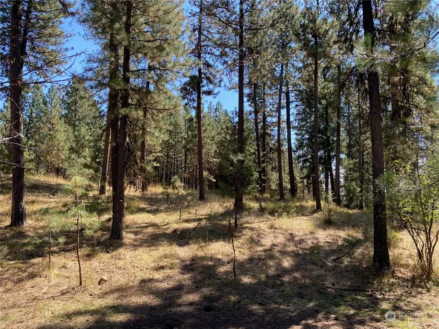 $1,595,000 | -xx Cougar Creek Road, Anatone, WA 99401