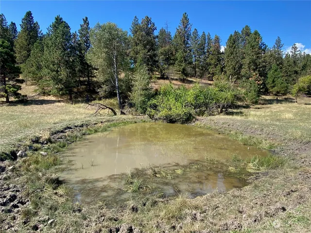 $1,595,000 | -xx Cougar Creek Road, Anatone, WA 99401