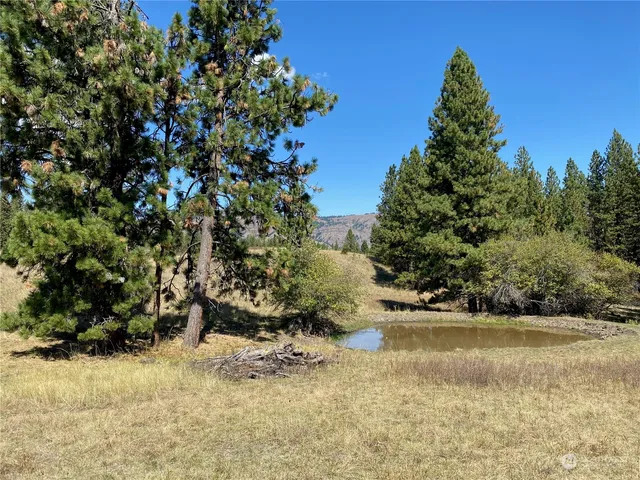 $1,595,000 | -xx Cougar Creek Road, Anatone, WA 99401