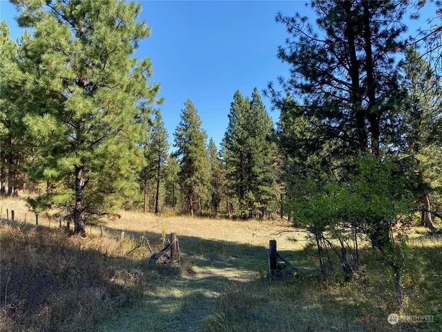 $1,595,000 | -xx Cougar Creek Road, Anatone, WA 99401