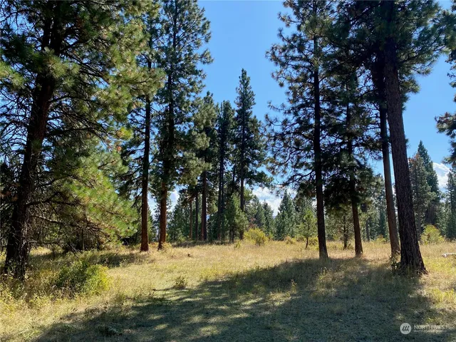 $1,595,000 | -xx Cougar Creek Road, Anatone, WA 99401