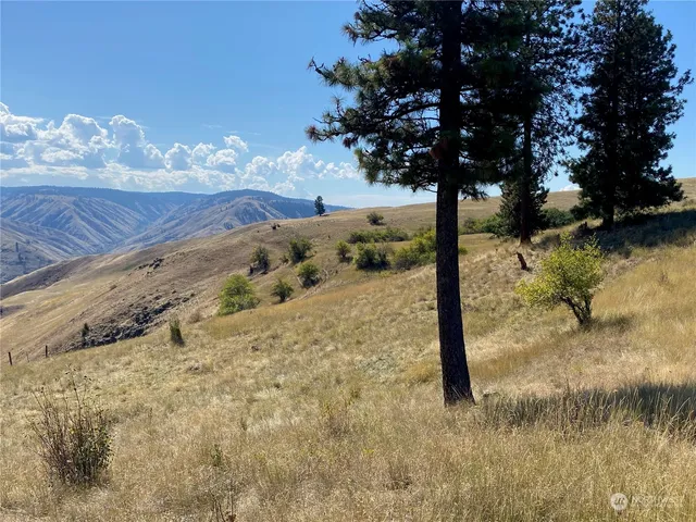 $1,595,000 | -xx Cougar Creek Road, Anatone, WA 99401