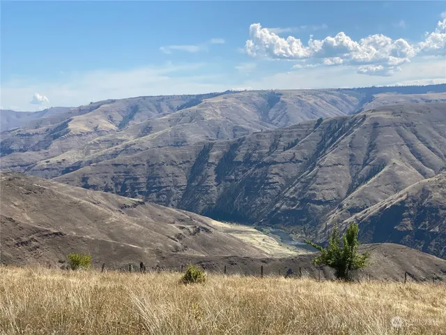 $1,595,000 | -xx Cougar Creek Road, Anatone, WA 99401