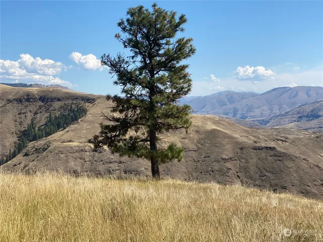 $1,595,000 | -xx Cougar Creek Road, Anatone, WA 99401