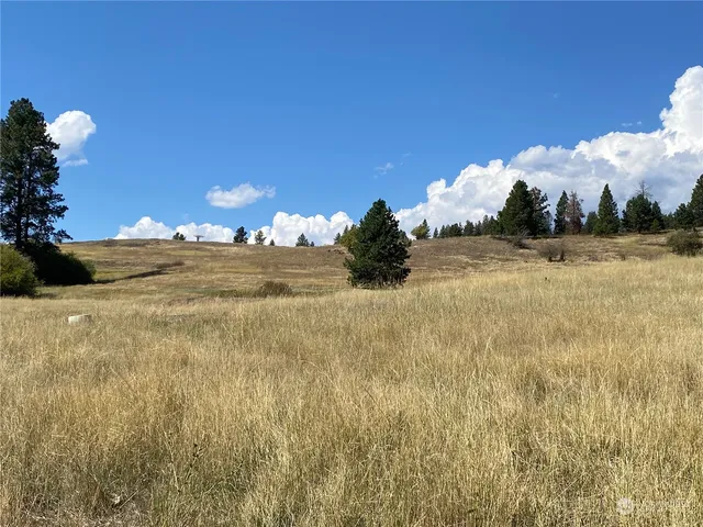 $1,595,000 | -xx Cougar Creek Road, Anatone, WA 99401