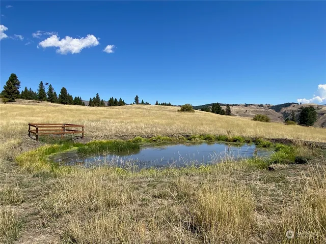 $1,595,000 | -xx Cougar Creek Road, Anatone, WA 99401