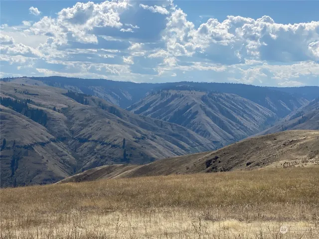 $1,595,000 | -xx Cougar Creek Road, Anatone, WA 99401