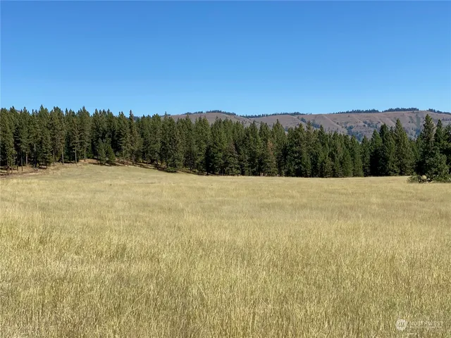 $1,595,000 | -xx Cougar Creek Road, Anatone, WA 99401