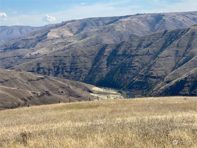 $1,595,000 | -xx Cougar Creek Road, Anatone, WA 99401